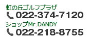 お電話でのお問い合わせ　022-374-7120